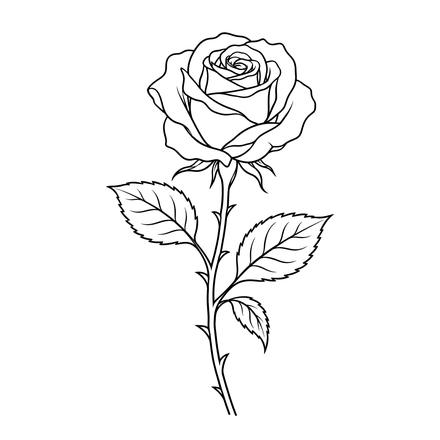 Rose, Fine line AI-generated design reference